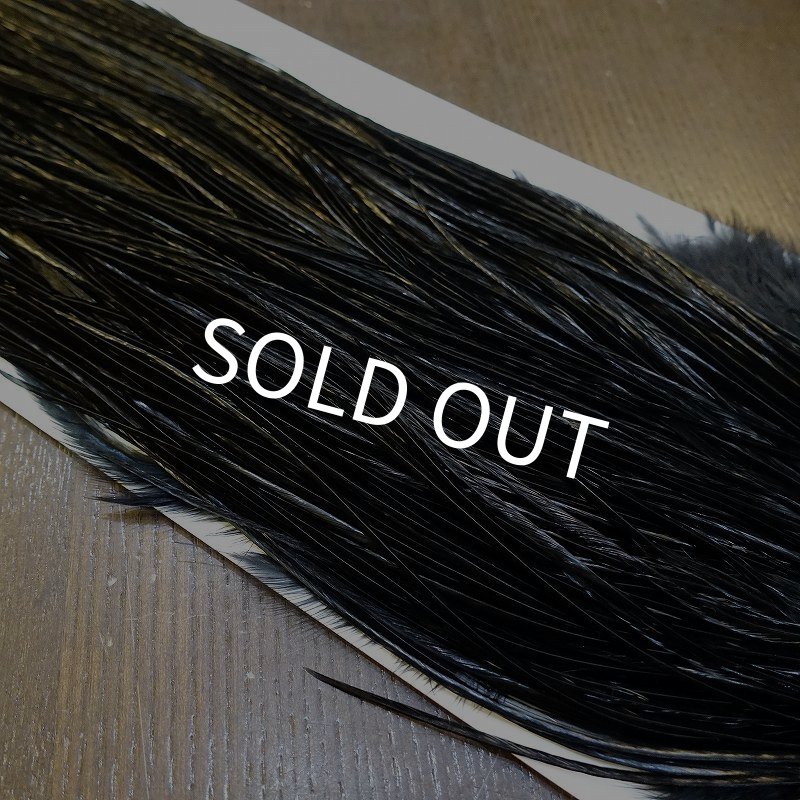 画像4: 【WHITING】High & Dry ROOSTER SADDLE - BLACK No.3 #14 (4)