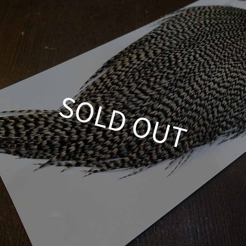 画像5: 【WHITING】High & Dry ROOSTER Cape - Grizzly No.3 (5)