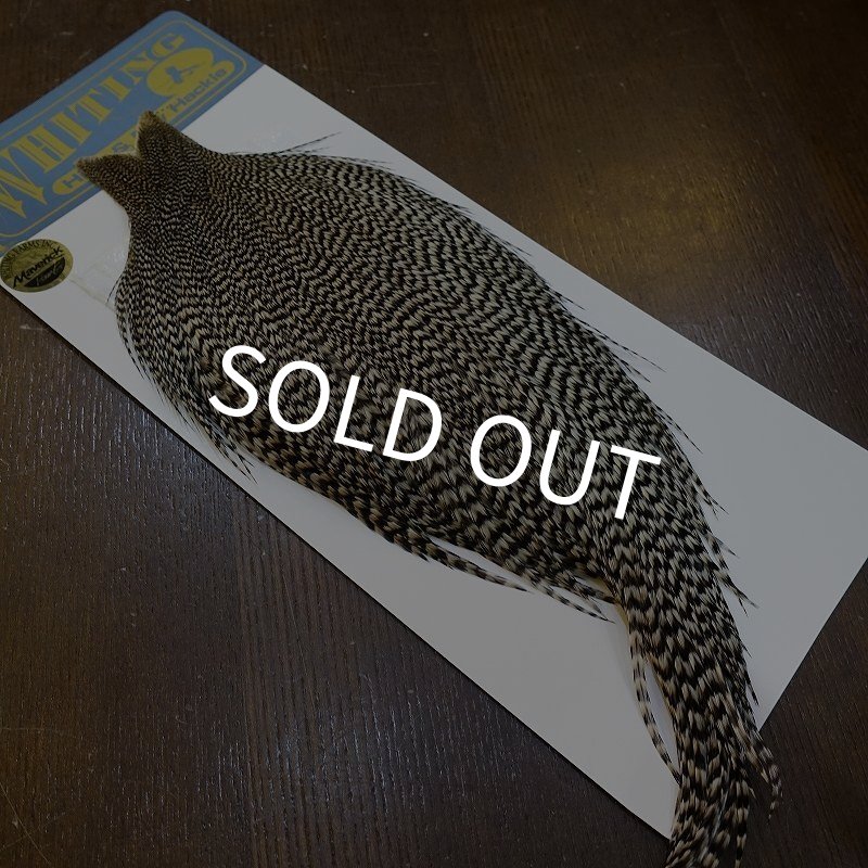 画像2: 【WHITING】High & Dry ROOSTER Cape - Grizzly No.3 (2)