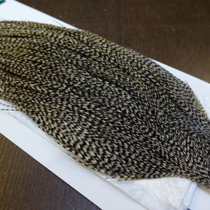 画像4: 【WHITING】Hebert ROOSTER CAPE Silver grade - Grizzly Variant