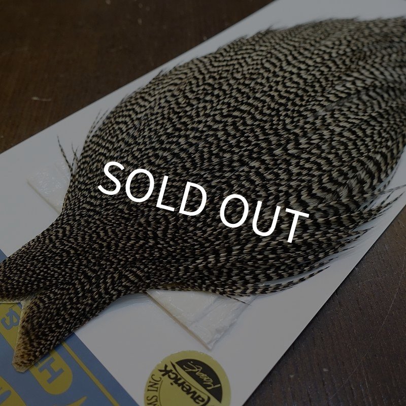 画像3: 【WHITING】High & Dry ROOSTER Cape - Grizzly No.3 (3)