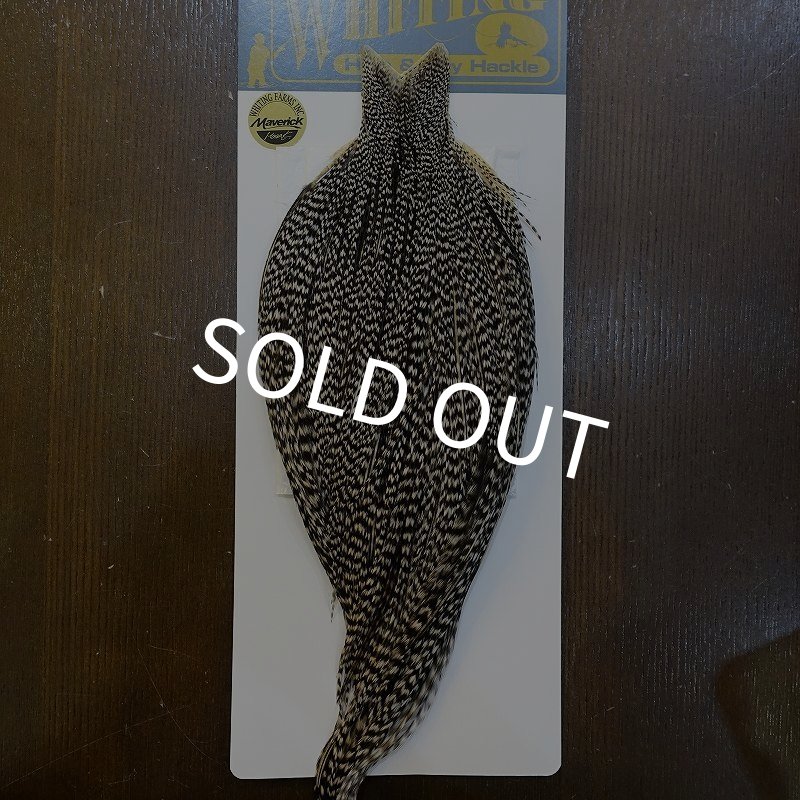 画像1: 【WHITING】High & Dry ROOSTER Cape - Grizzly Variant No.2 (1)