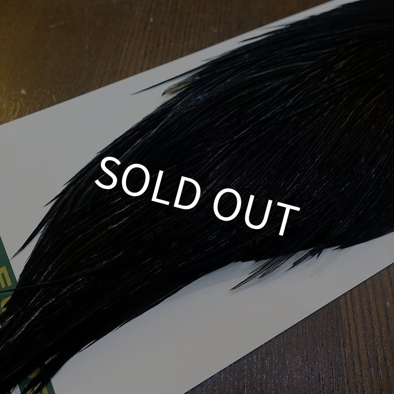 画像5: 【WHITING】Hebert ROOSTER CAPE Silver grade - DYED BLACK No.2 (5)