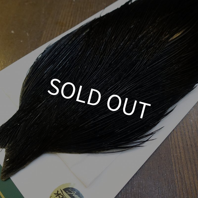 画像3: 【WHITING】Hebert ROOSTER CAPE Silver grade - DYED BLACK No.2 (3)