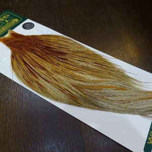 画像2: 【WHITING】Hebert ROOSTER CAPE Silver grade - Barred Medium Ginger No.2