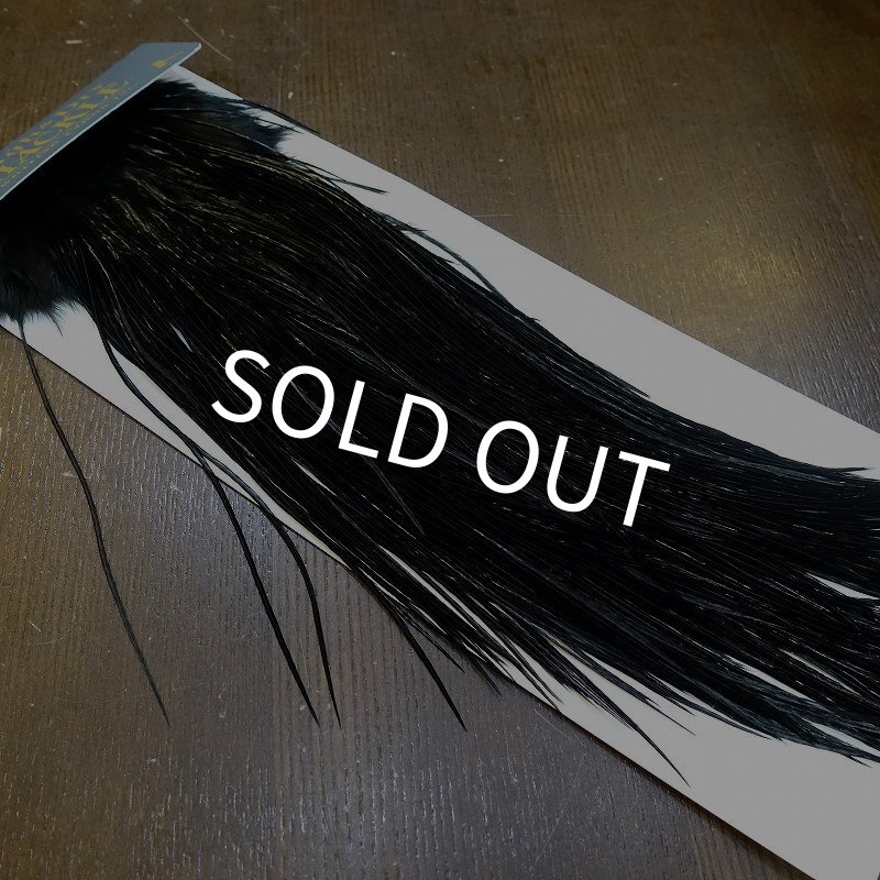 画像2: 【WHITING】High & Dry ROOSTER SADDLE - BLACK No.2 #16 (2)