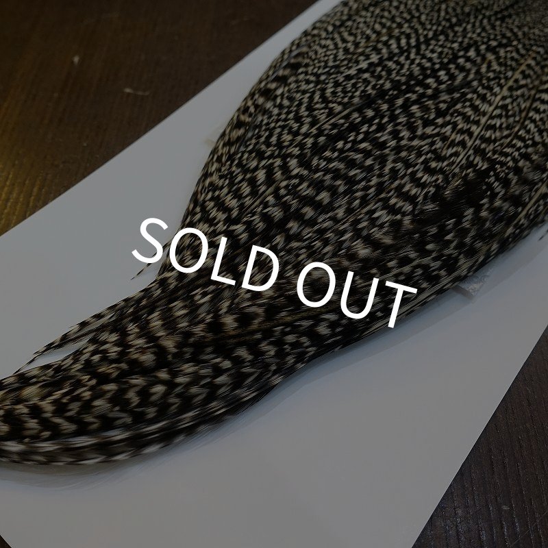 画像5: 【WHITING】High & Dry ROOSTER Cape - Grizzly Variant No.2 (5)