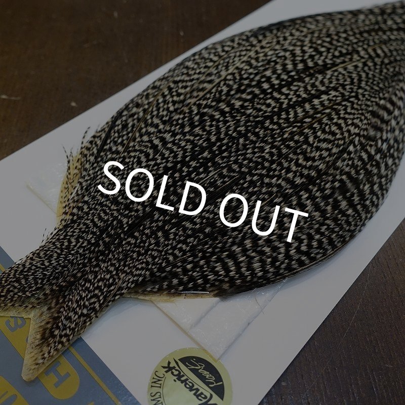 画像3: 【WHITING】High & Dry ROOSTER Cape - Grizzly Variant No.2 (3)