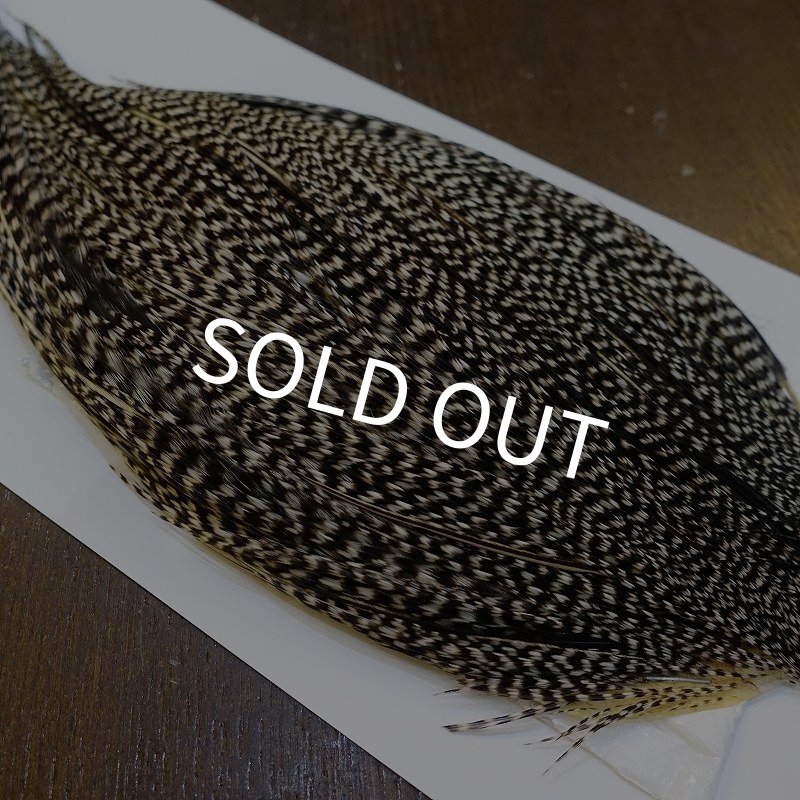 画像4: 【WHITING】High & Dry ROOSTER Cape - Grizzly Variant No.2 (4)