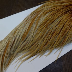 画像5: 【WHITING】Hebert ROOSTER CAPE Silver grade - Barred Medium Ginger No.2