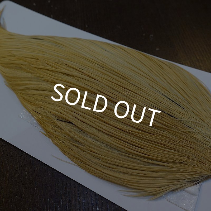 画像4: 【WHITING】High & Dry ROOSTER Cape - LIGHT GINGER No.2 (4)