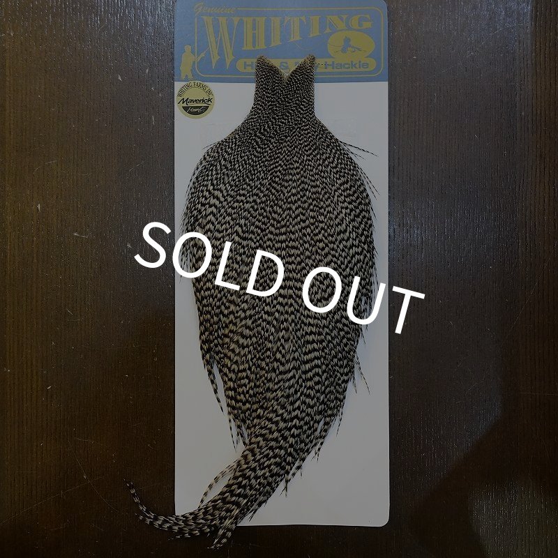 画像1: 【WHITING】High & Dry ROOSTER Cape - Grizzly No.3 (1)