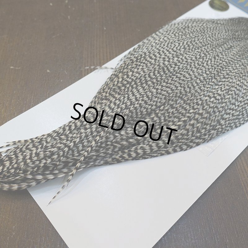 画像5: 【WHITING】High & Dry ROOSTER Cape - Grizzly No.2 (5)