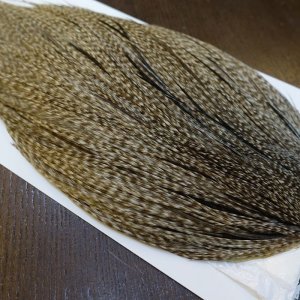 画像4: 【WHITING】Hebert ROOSTER CAPE Silver grade - DUN GRIZZLY No.1