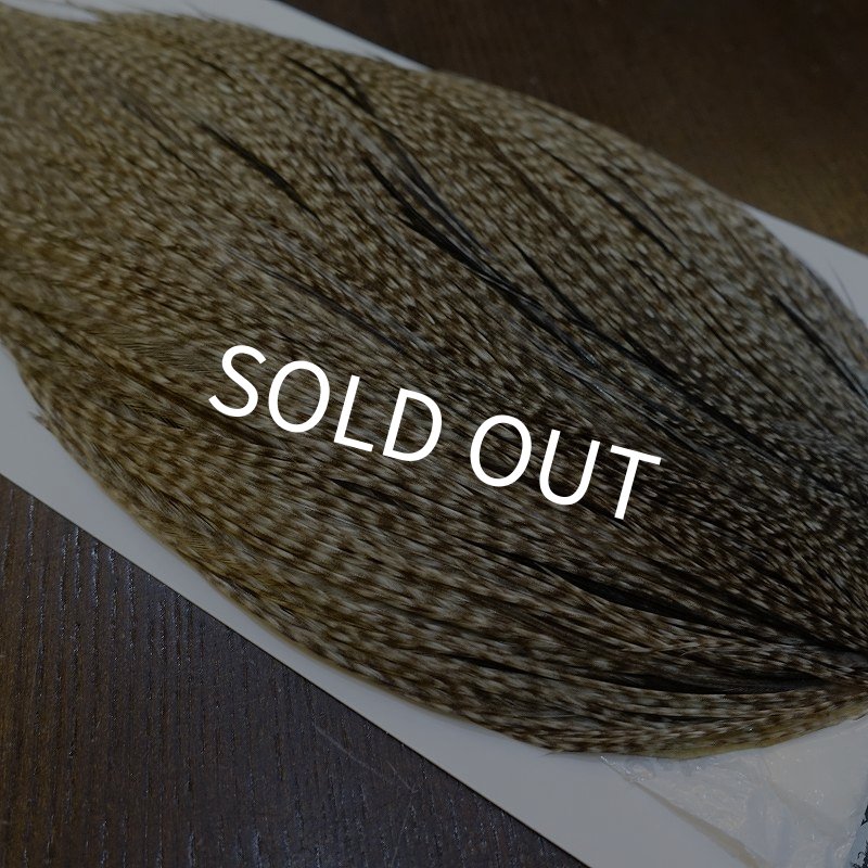 画像4: 【WHITING】Hebert ROOSTER CAPE Silver grade - DUN GRIZZLY No.1 (4)