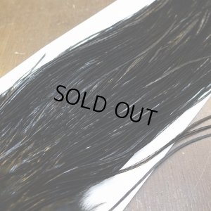 画像3: 【WHITING】High & Dry ROOSTER SADDLE - BLACK No.2 #16