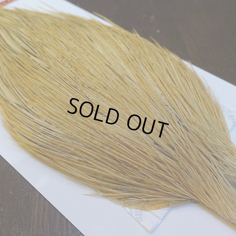 画像4: 【WHITING】ROOSTER Cape Pro Grade - Light Ginger No.1 (4)