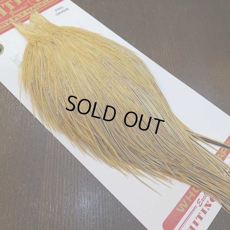 画像2: 【WHITING】ROOSTER Cape Pro Grade - Light Ginger No.1 (2)