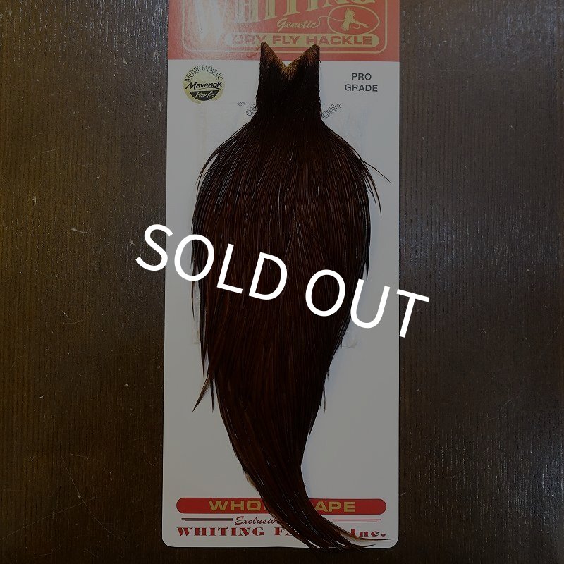 画像1: 【WHITING】ROOSTER Cape Pro Grade - DYED COACHMAN BROWN No.2 (1)