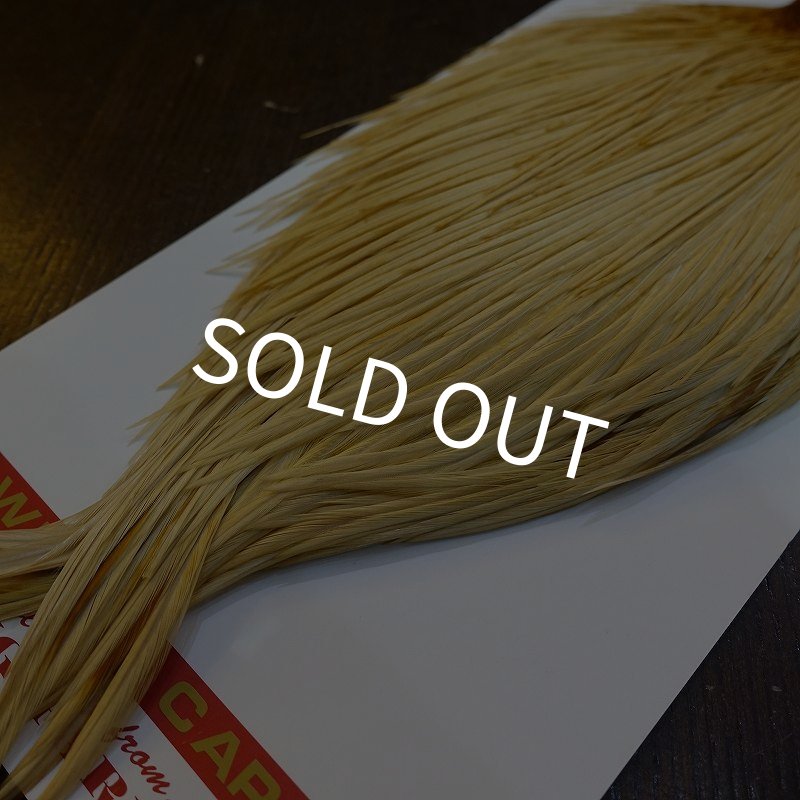 画像5: 【WHITING】ROOSTER Cape Pro Grade - Light Ginger No.2 (5)