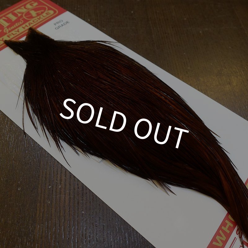 画像2: 【WHITING】ROOSTER Cape Pro Grade - DYED COACHMAN BROWN No.1 (2)