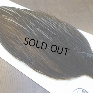 画像4: 【WHITING】Hebert Silver Grade Cape - Dark Brown Dun No.1