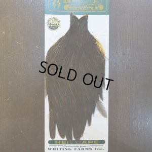 画像1: 【WHITING】Hebert Hen Cape DarkBrown Dun