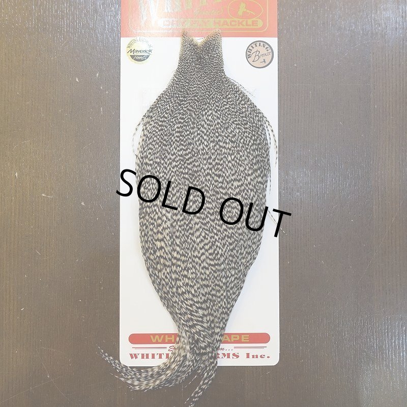 画像1: 【WHITING】ROOSTER CAPE Bronze Grade - Grizzly No.1 (1)