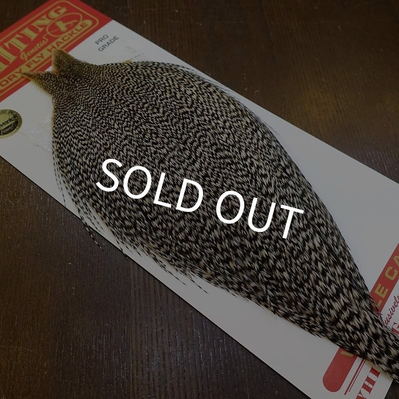 画像2: 【WHITING】ROOSTER Cape Pro Grade - Grizzly No.2 (2)