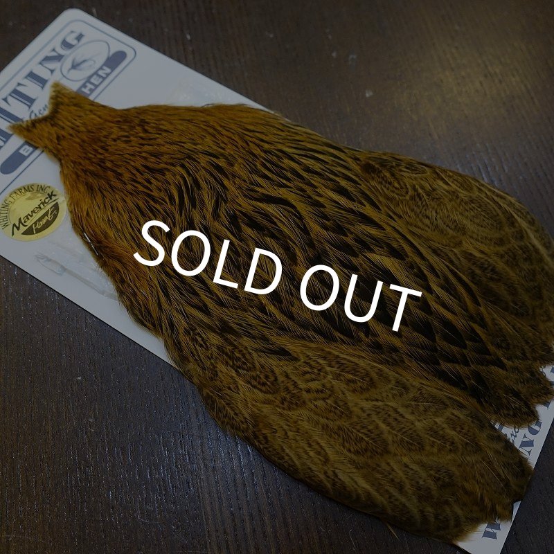 画像2: 【Whiting】BRAHMA HEN CAPE BADGER/MARCHBROWN (2)