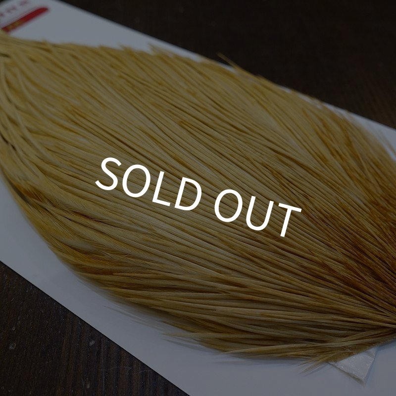 画像4: 【WHITING】ROOSTER Cape Pro Grade - Light Ginger No.2 (4)