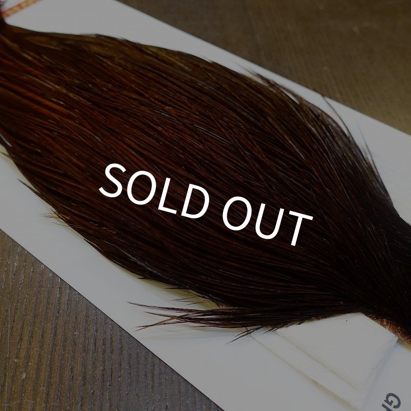 画像4: 【WHITING】ROOSTER Cape Pro Grade - DYED COACHMAN BROWN No.1 (4)