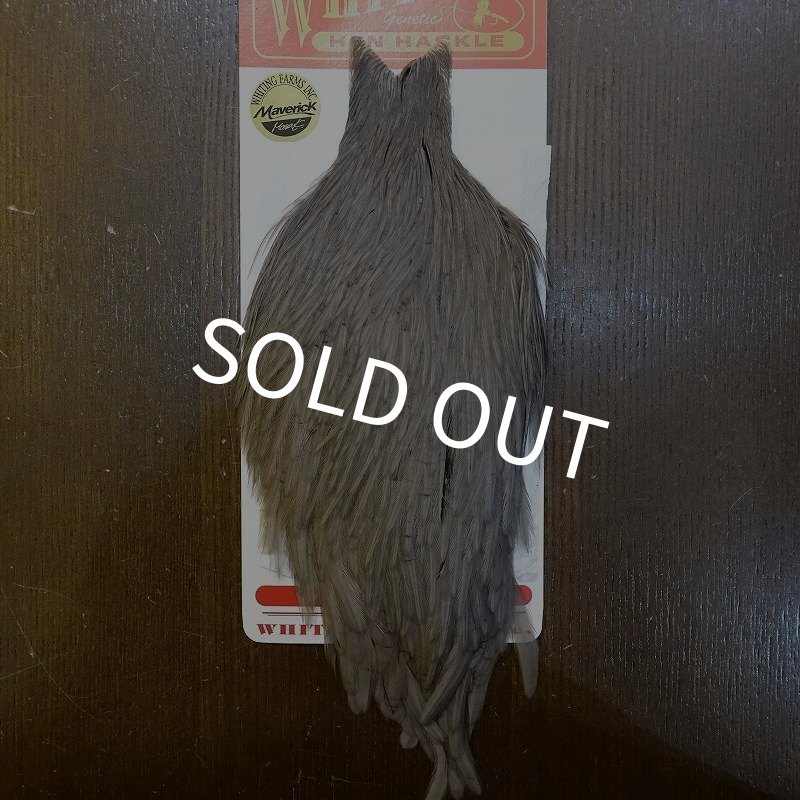 画像1: 【WHITING】Hen Cape - Medium Dun (1)