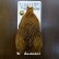 画像1: 【Whiting】BRAHMA HEN CAPE BADGER/MARCHBROWN (1)