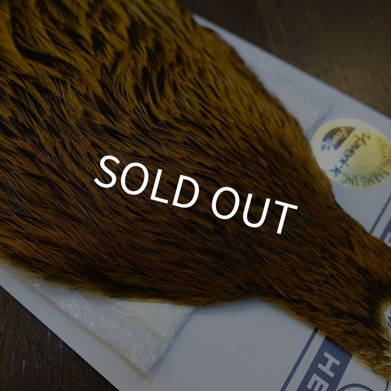 画像4: 【Whiting】BRAHMA HEN CAPE BADGER/MARCHBROWN (4)