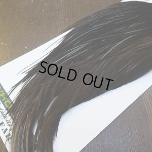 画像5: 【WHITING】Hebert Silver Grade Cape - Dark Brown Dun No.1