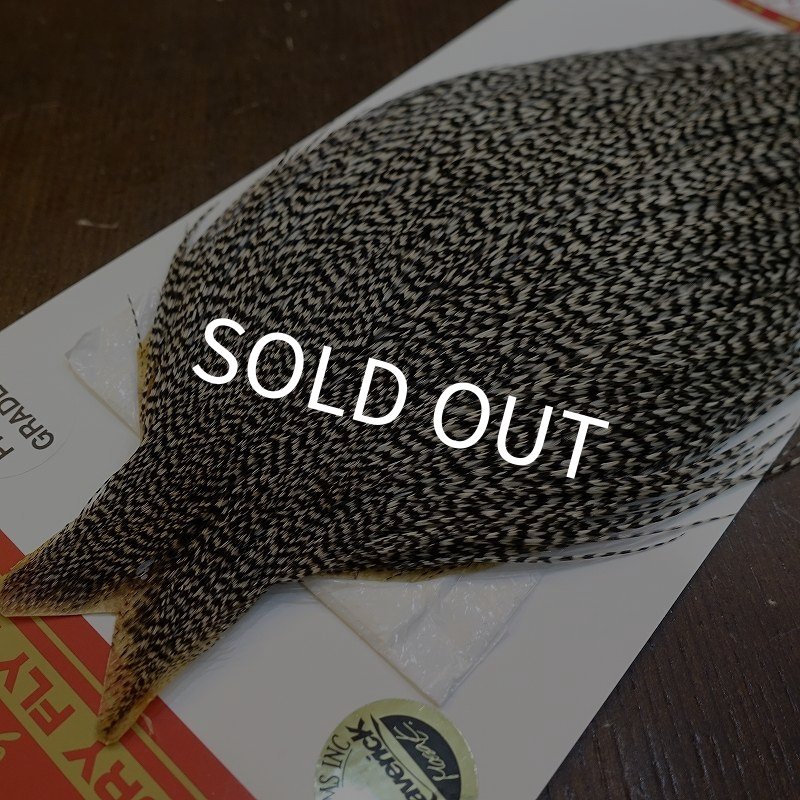 画像3: 【WHITING】ROOSTER Cape Pro Grade - Grizzly No.2 (3)