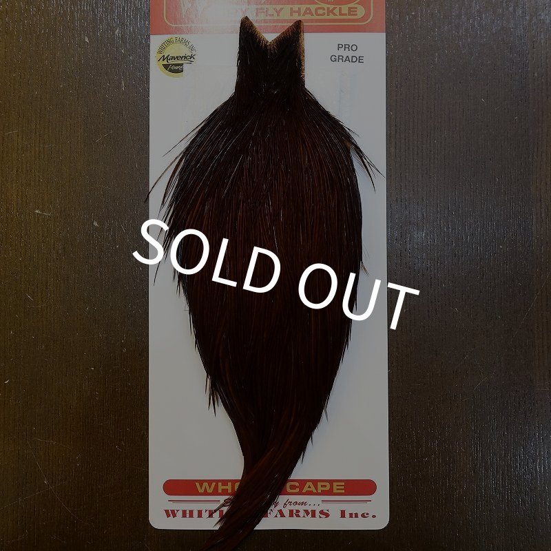 画像1: 【WHITING】ROOSTER Cape Pro Grade - DYED COACHMAN BROWN No.1 (1)