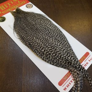 画像2: 【WHITING】ROOSTER CAPE Bronze Grade - Grizzly No.1