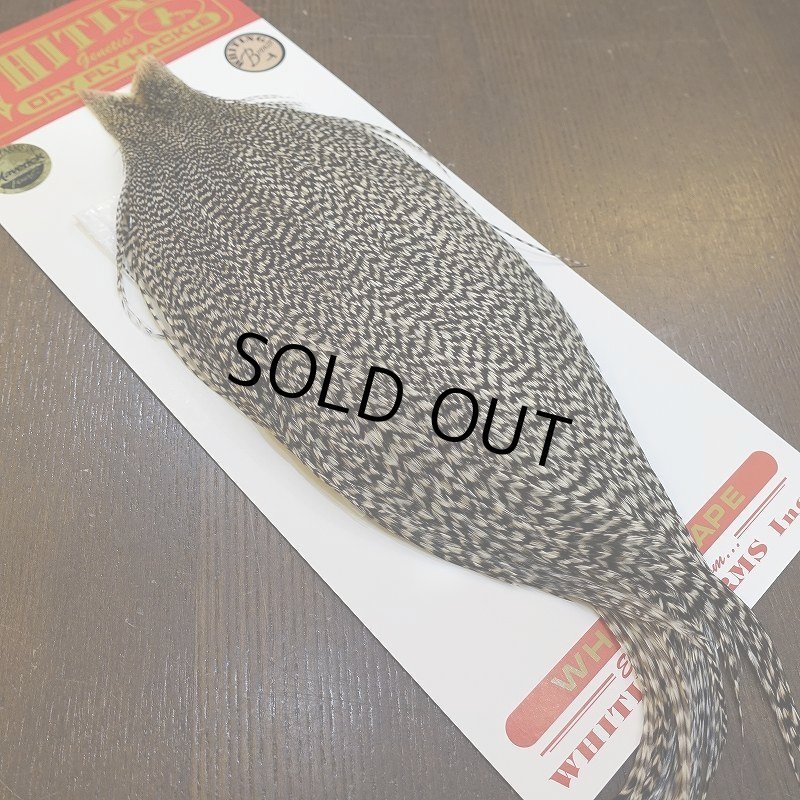 画像2: 【WHITING】ROOSTER CAPE Bronze Grade - Grizzly No.1 (2)