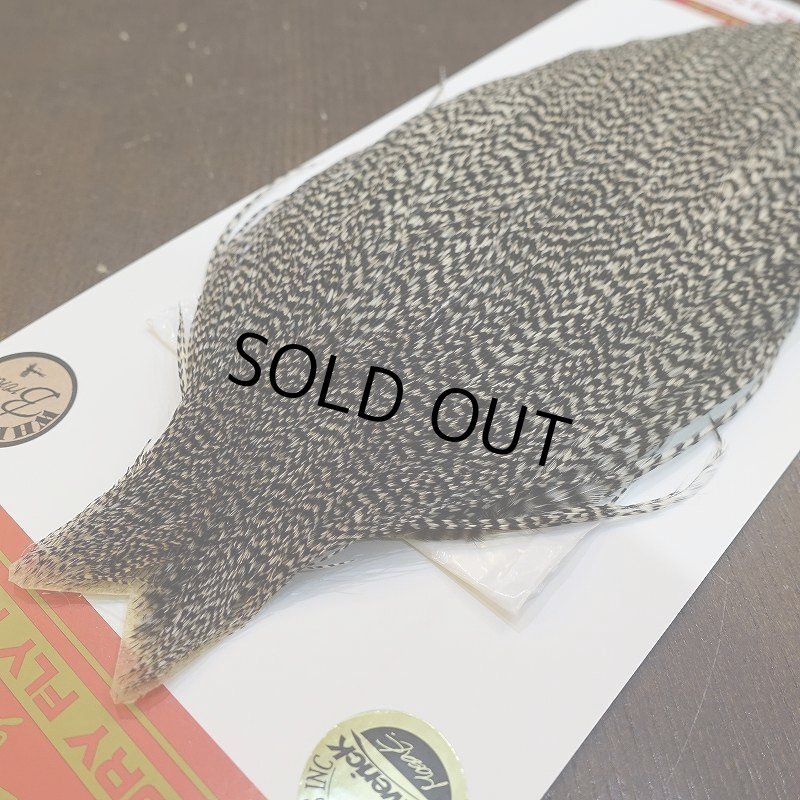 画像3: 【WHITING】ROOSTER CAPE Bronze Grade - Grizzly No.1 (3)