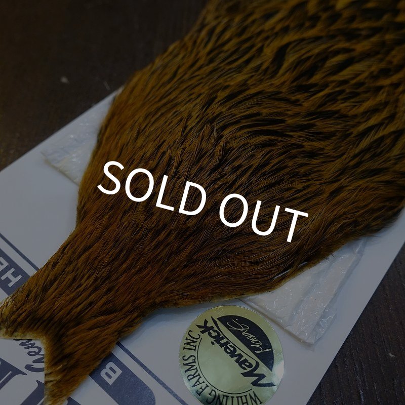 画像3: 【Whiting】BRAHMA HEN CAPE BADGER/MARCHBROWN (3)