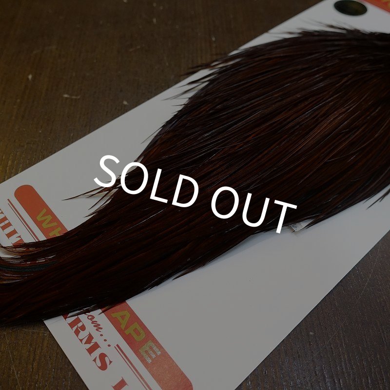 画像5: 【Whiting】ROOSTER CAPE Bronze Grade - DYED COACHMAN BROWN No.1 (5)