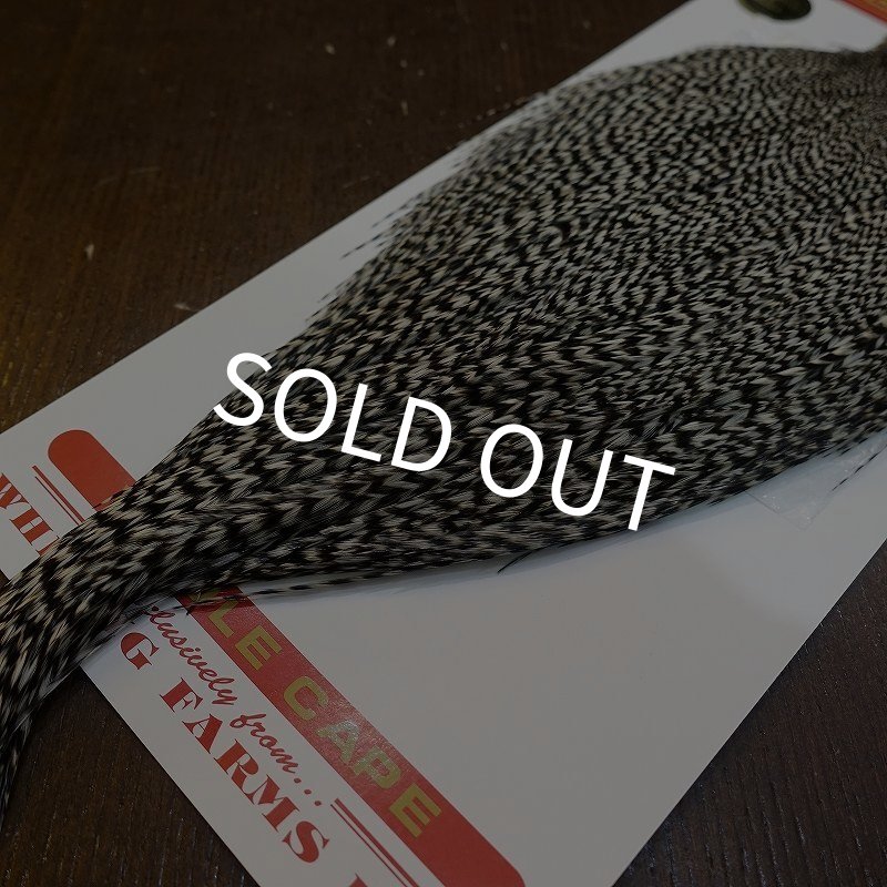 画像5: 【WHITING】ROOSTER Cape Pro Grade - Grizzly No.2 (5)