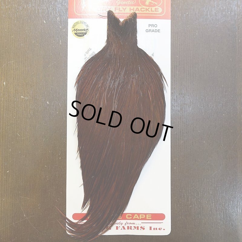 画像1: 【WHITING】ROOSTER Cape Pro Grade - DYED COACHMAN BROWN No.3 (1)