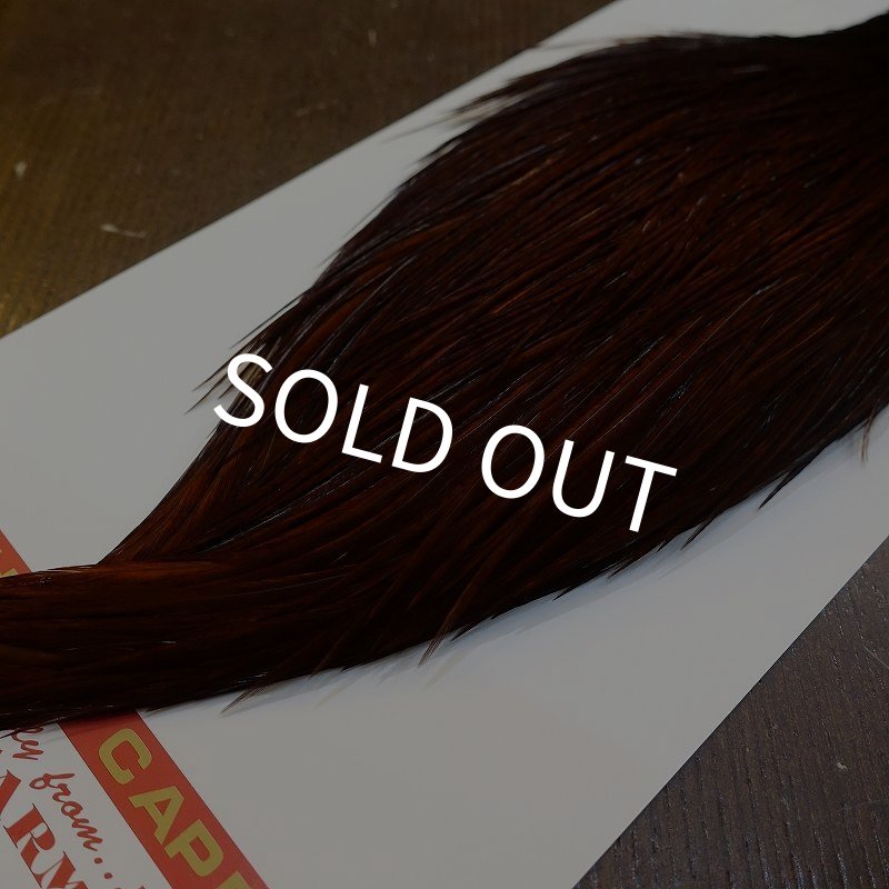 画像5: 【WHITING】ROOSTER Cape Pro Grade - DYED COACHMAN BROWN No.1 (5)