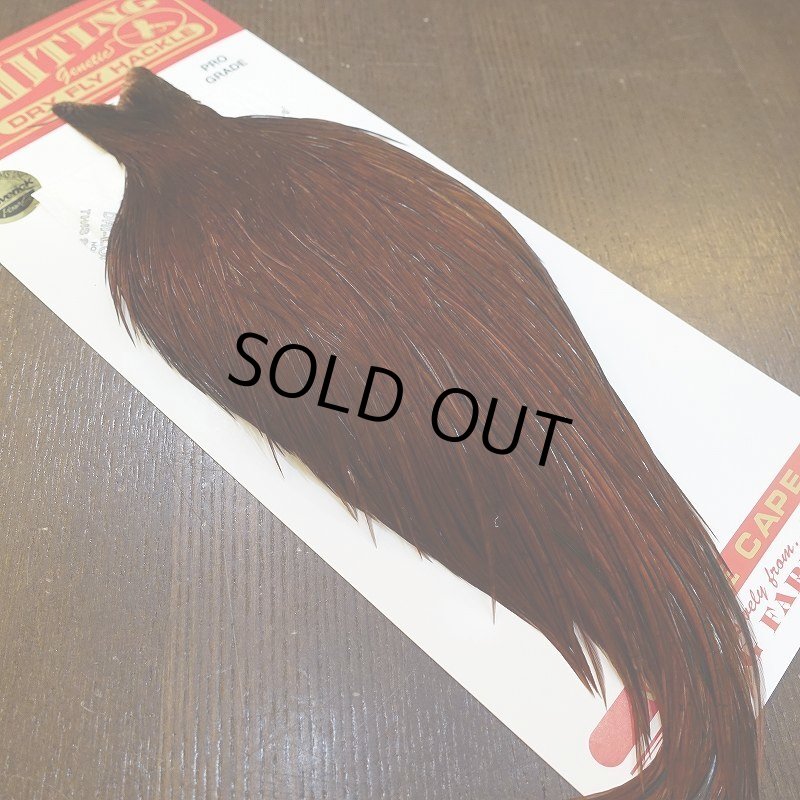 画像2: 【WHITING】ROOSTER Cape Pro Grade - DYED COACHMAN BROWN No.3 (2)