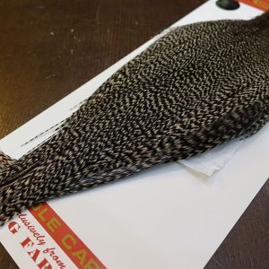 画像5: 【WHITING】ROOSTER CAPE Bronze Grade - Grizzly No.2