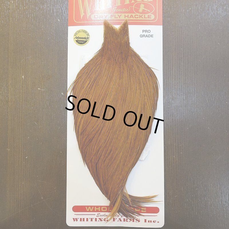 画像1: 【WHITING】ROOSTER Cape Pro Grade - DYED BROWN No.1 (1)