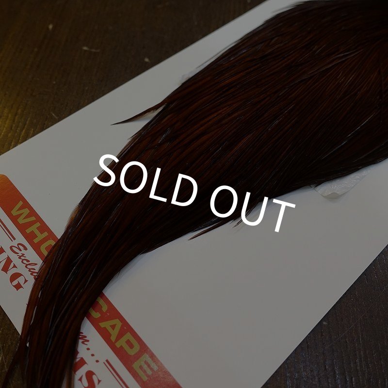 画像5: 【WHITING】ROOSTER Cape Pro Grade - DYED COACHMAN BROWN No.2 (5)